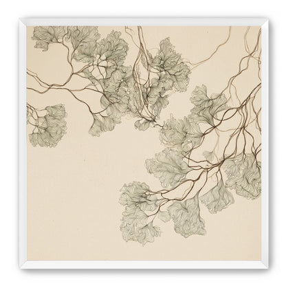 A Field of Drawn Canopies