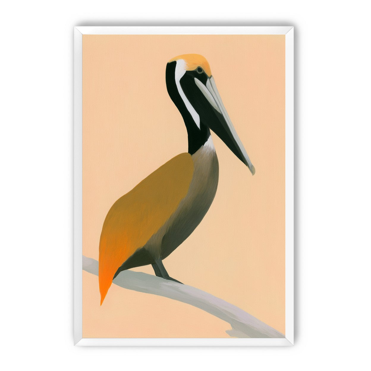 Pelican in peach light
