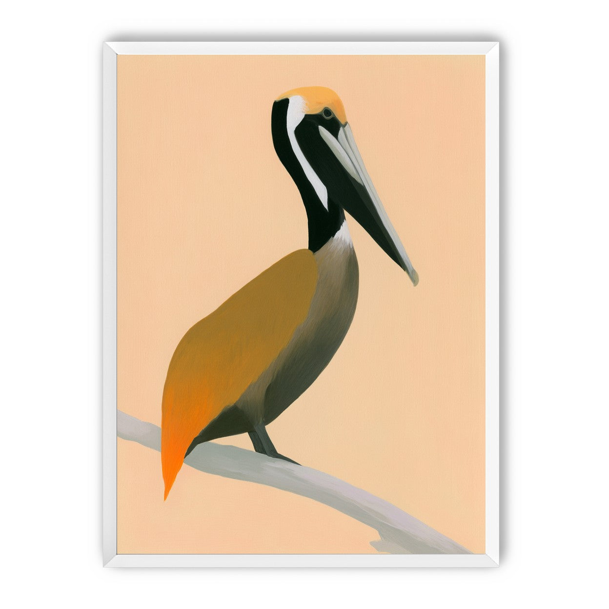 Pelican in peach light