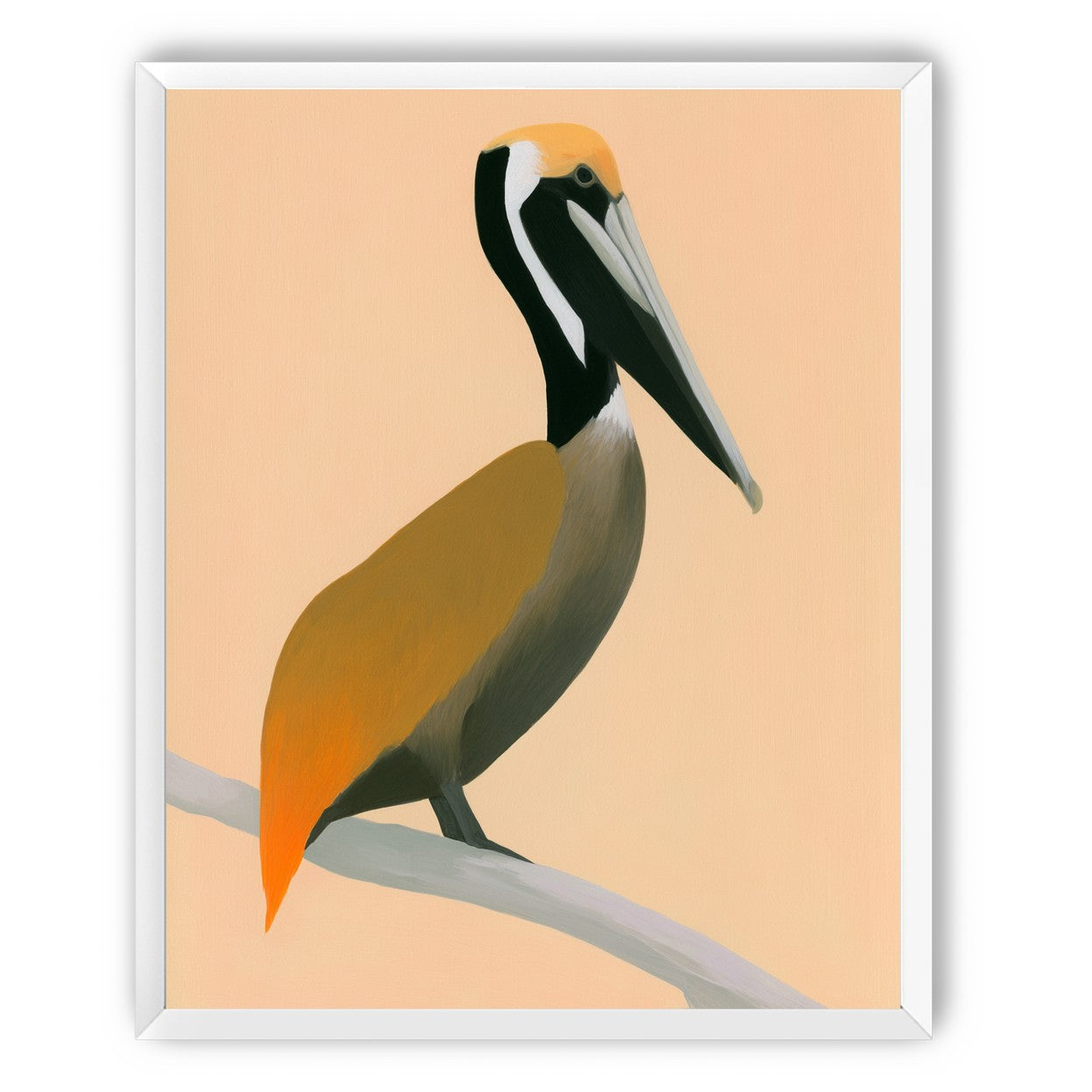 Pelican in peach light