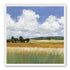 Meadow Under Clouds 