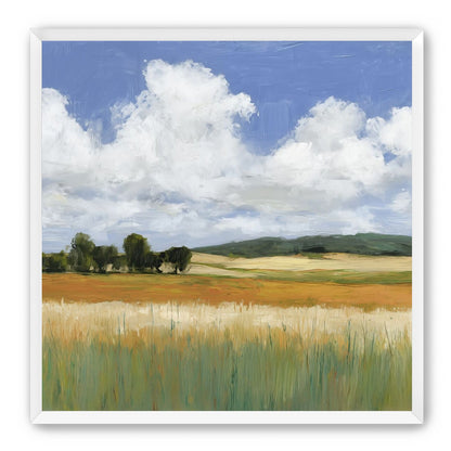 Meadow Under Clouds