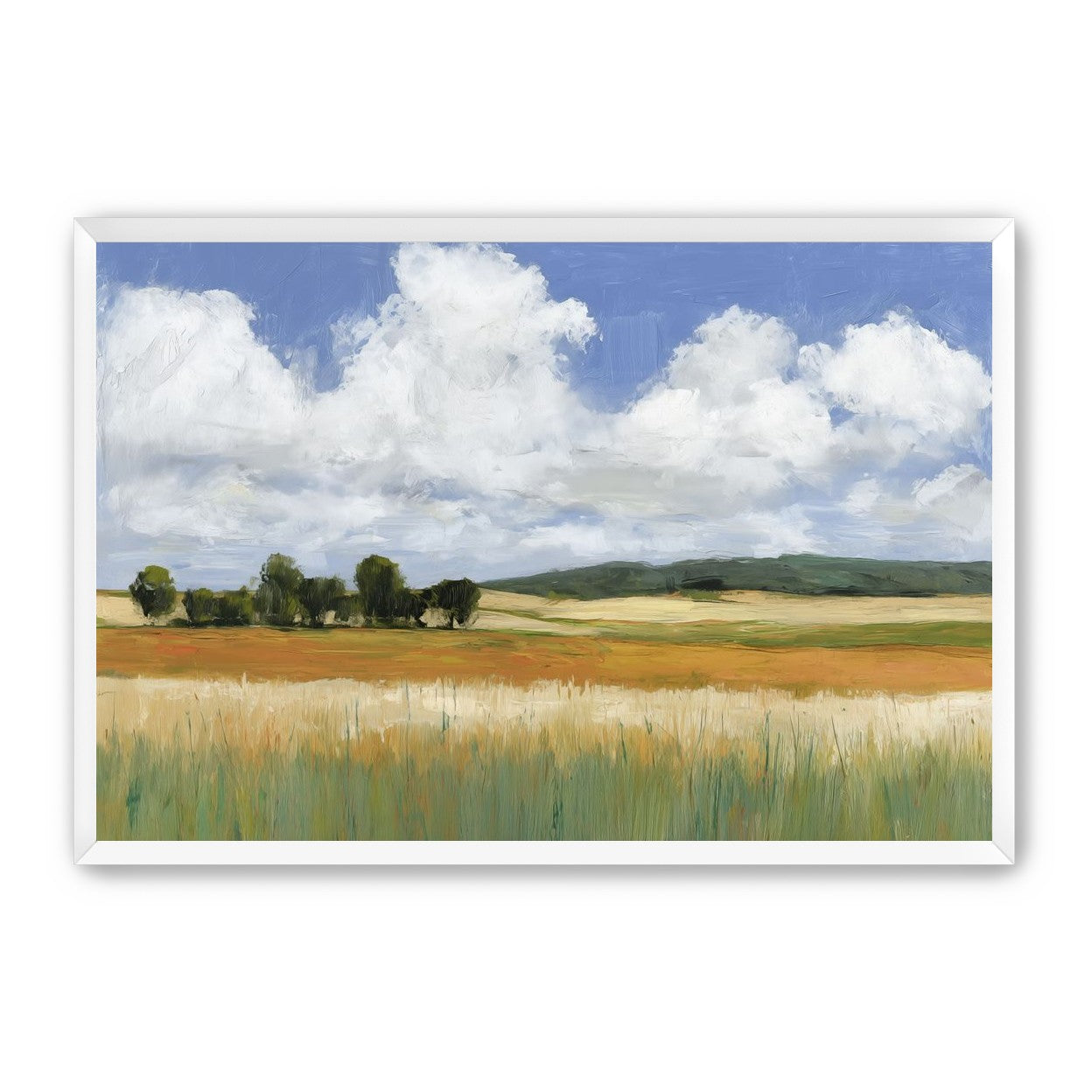 Meadow Under Clouds