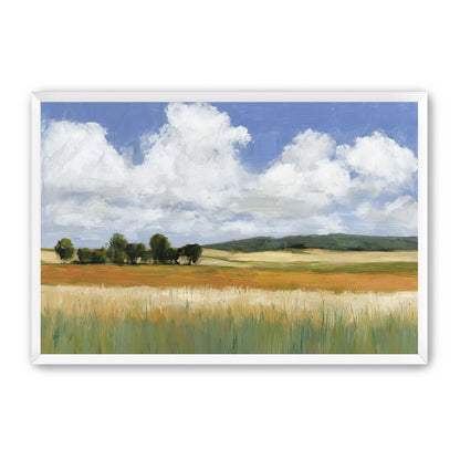 Meadow Under Clouds