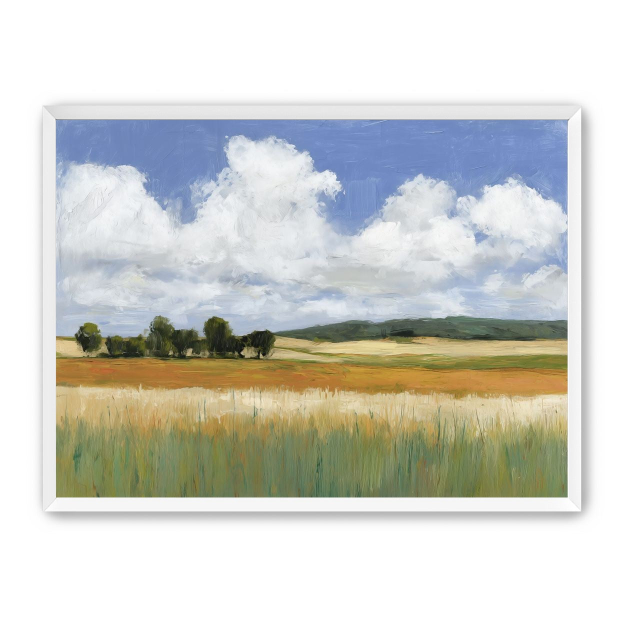 Meadow Under Clouds