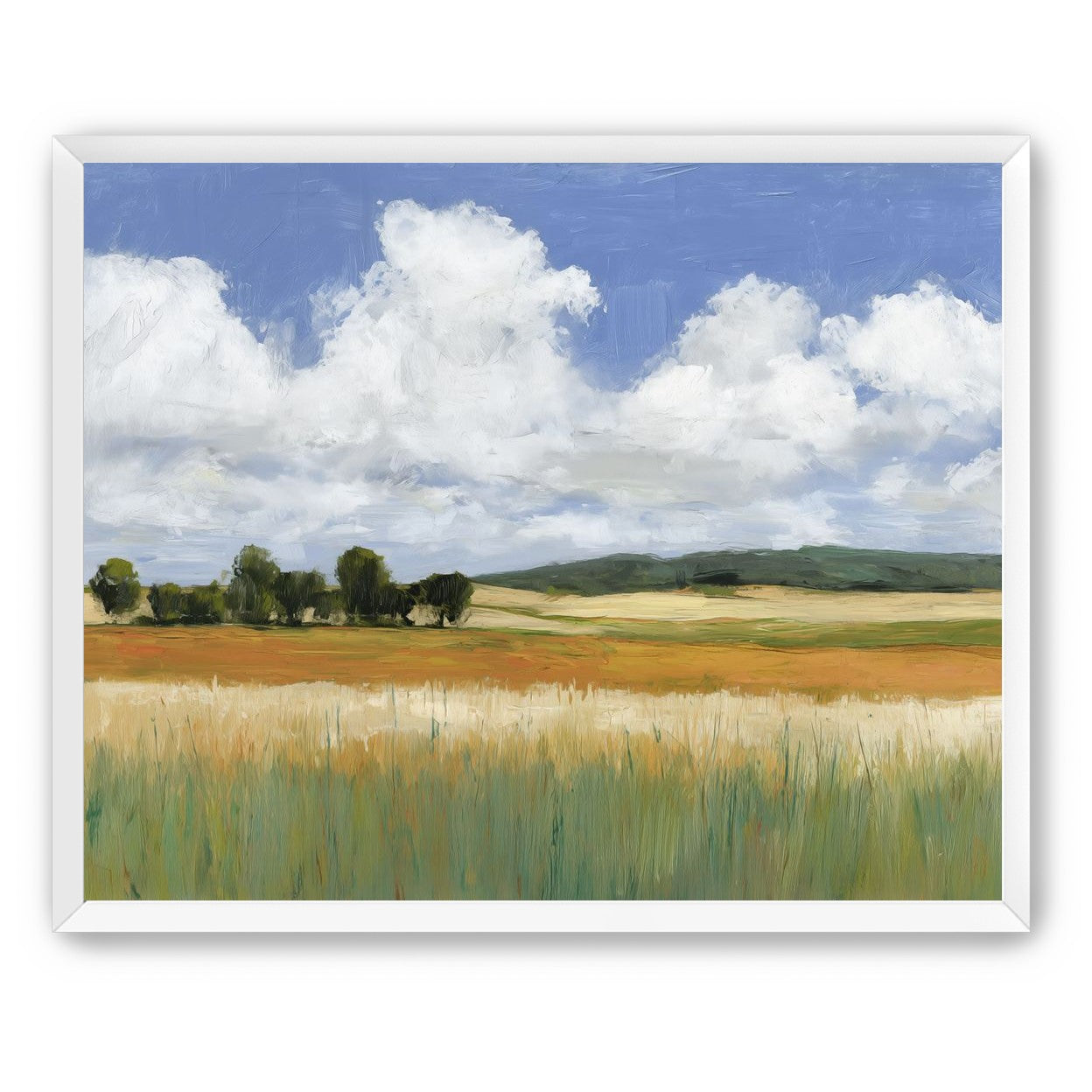 Meadow Under Clouds