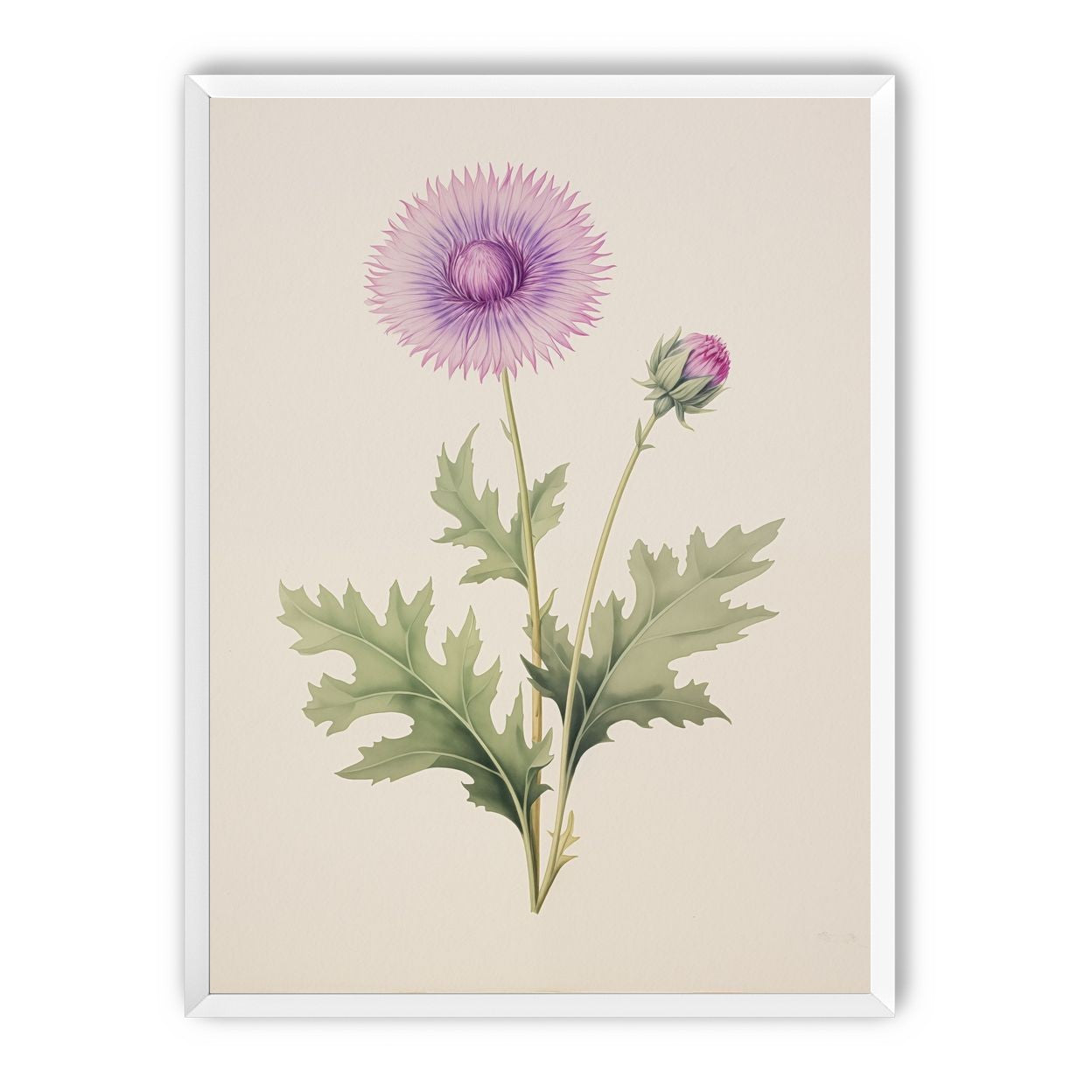 Lavender Radiance