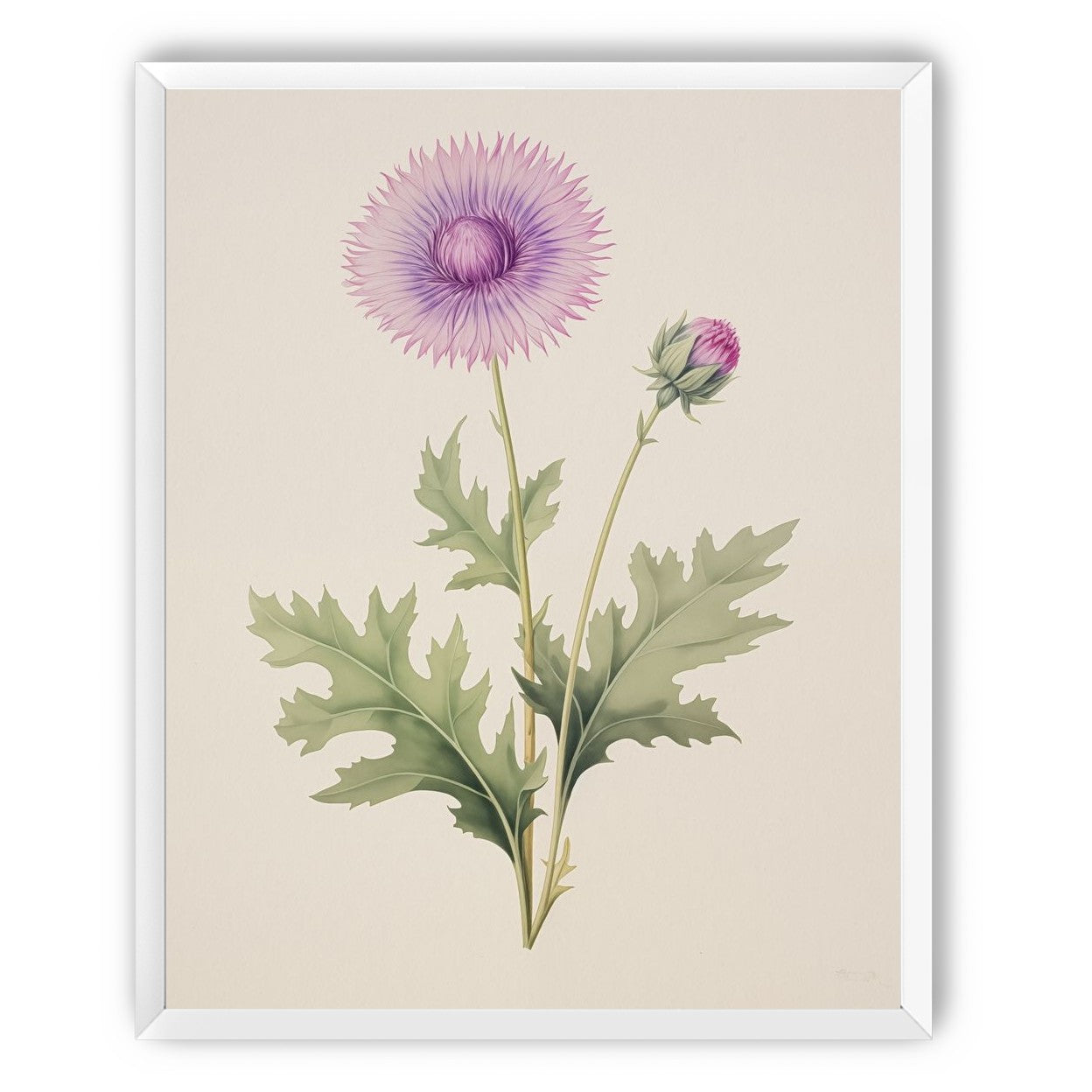 Lavender Radiance
