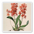 Red orchids on white paper