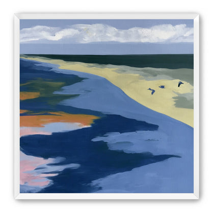 Birds over the pale shore