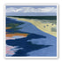 Birds over the pale shore