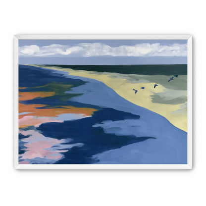 Birds over the pale shore