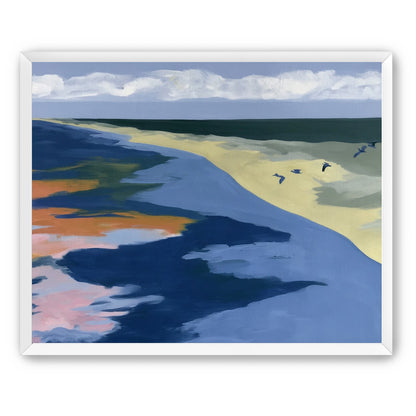 Birds over the pale shore