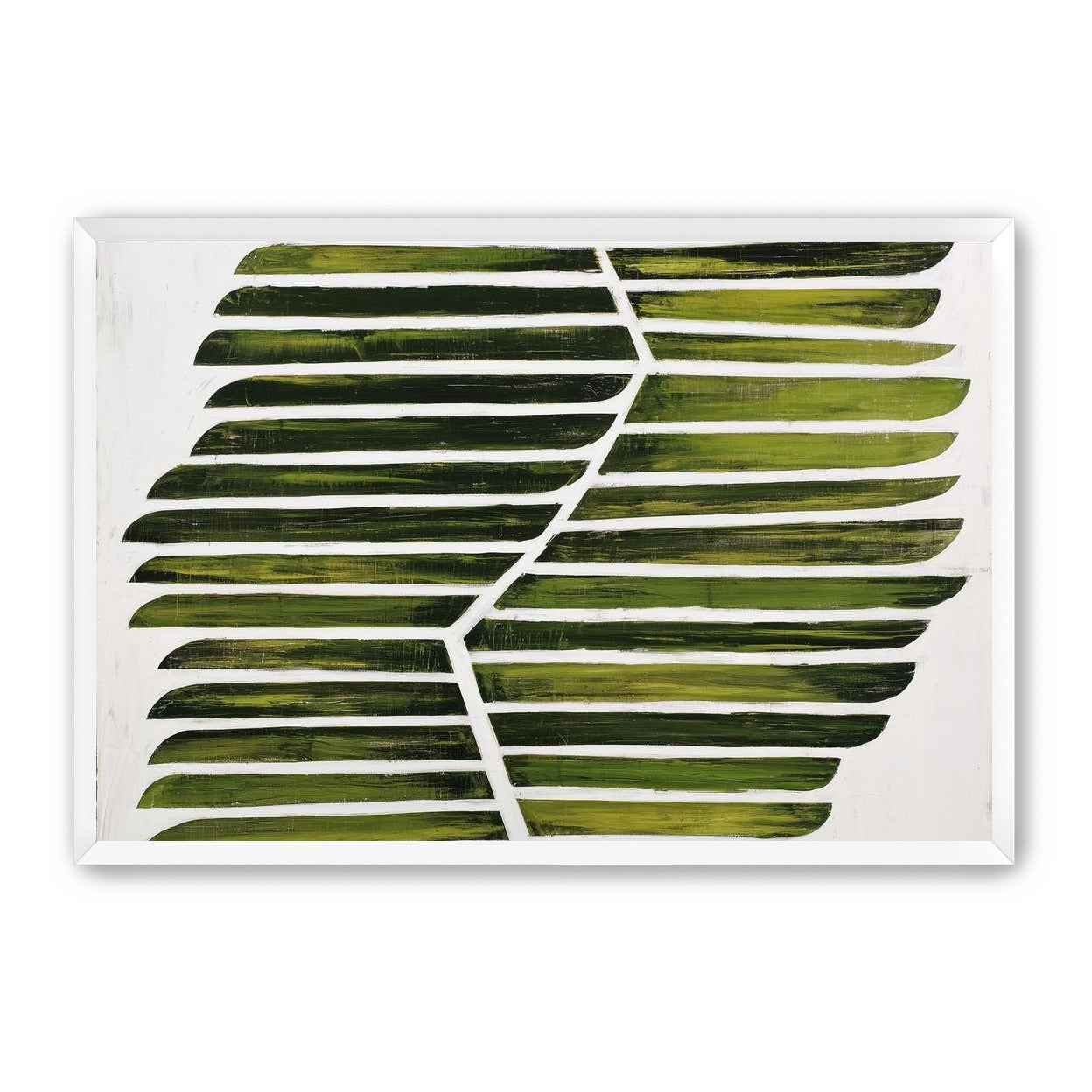 Leaf ribs around a white vein