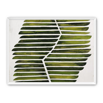 Leaf ribs around a white vein