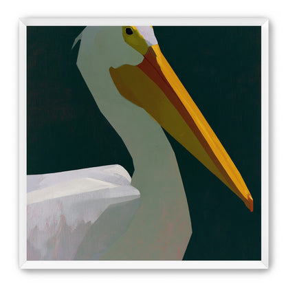 White pelican in deep green