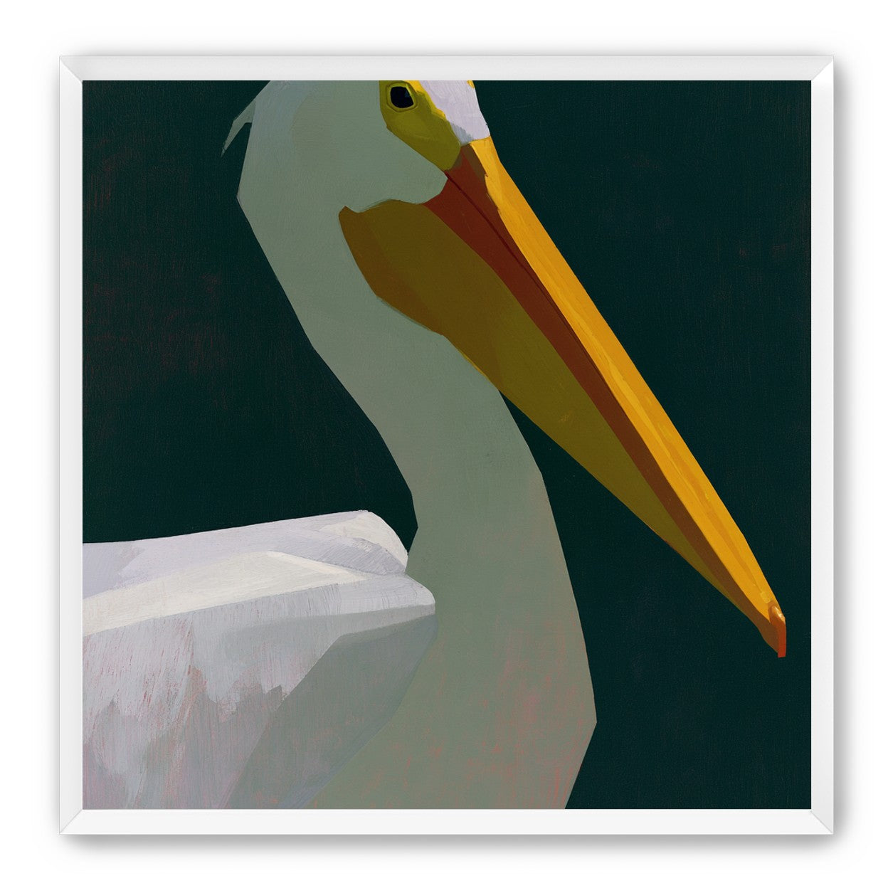 White pelican in deep green