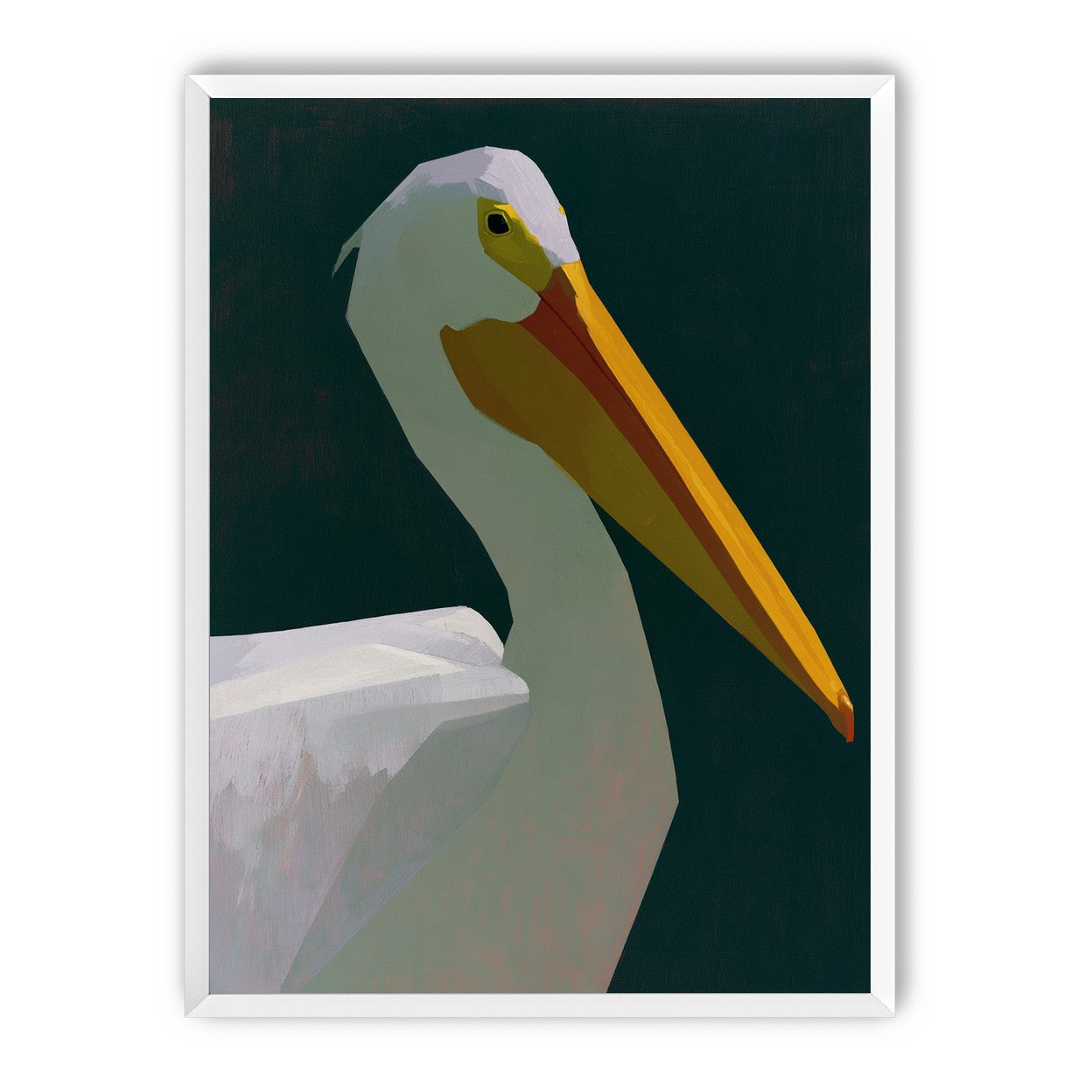 White pelican in deep green