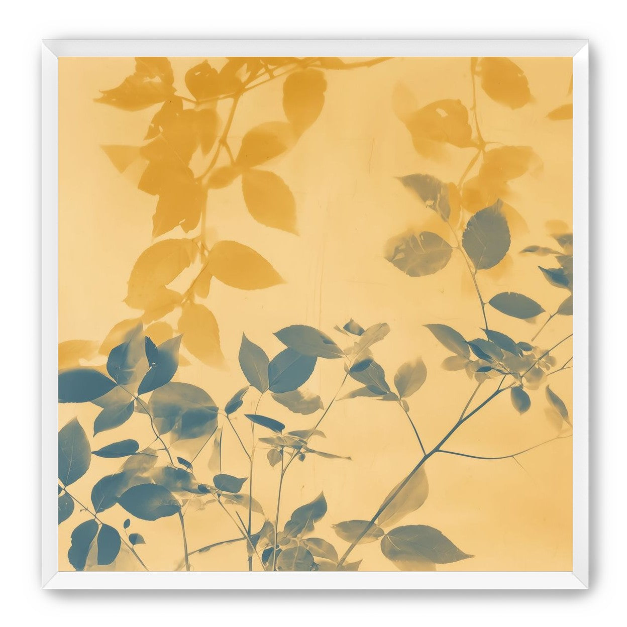 Translucent Film Over Leaves
