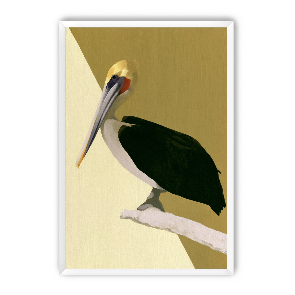 Pelican in quiet balance