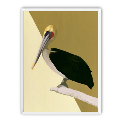 Pelican in quiet balance
