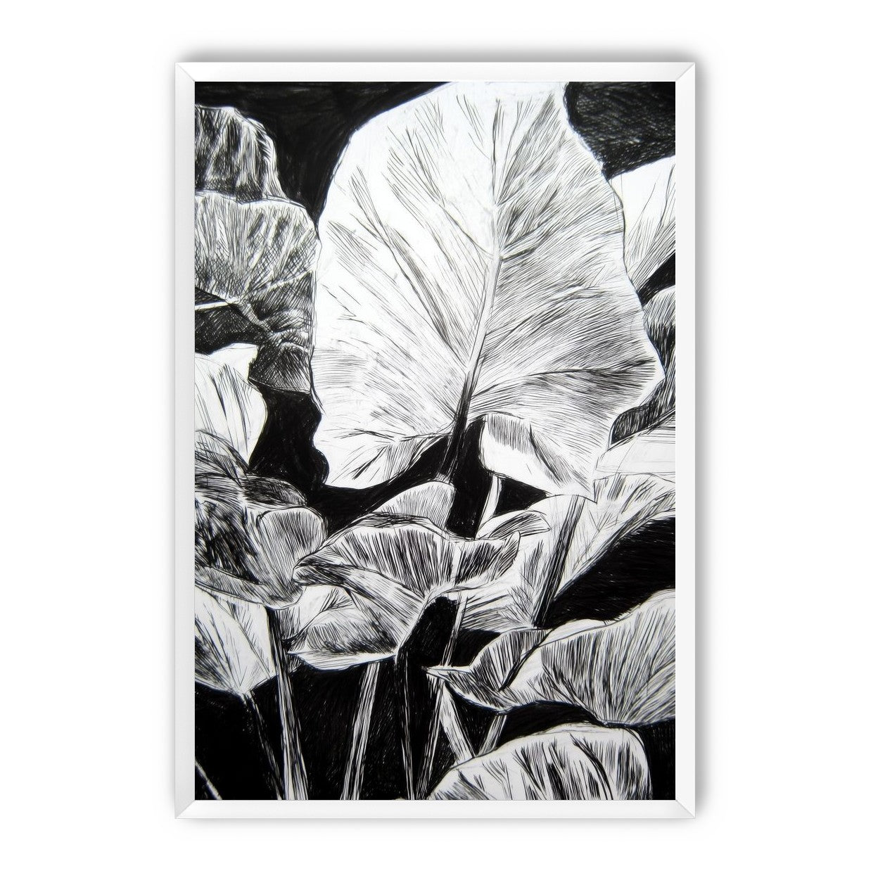 A Cluster of Leaves