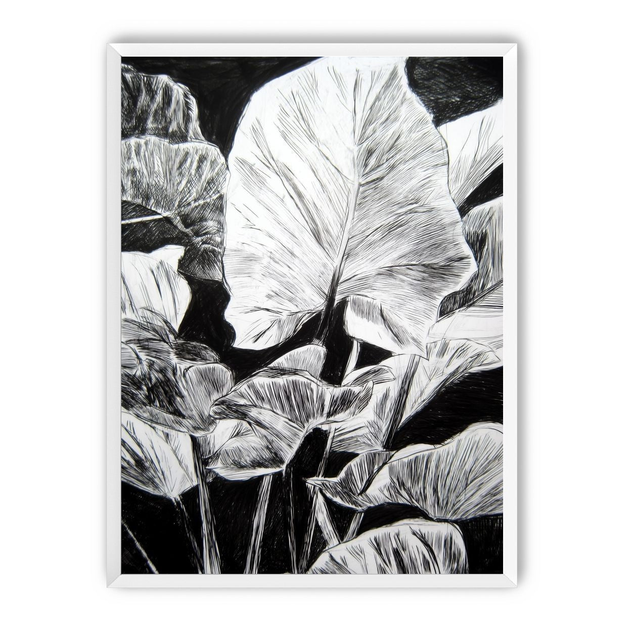 A Cluster of Leaves