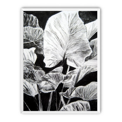 A Cluster of Leaves