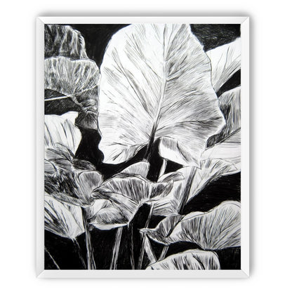 A Cluster of Leaves