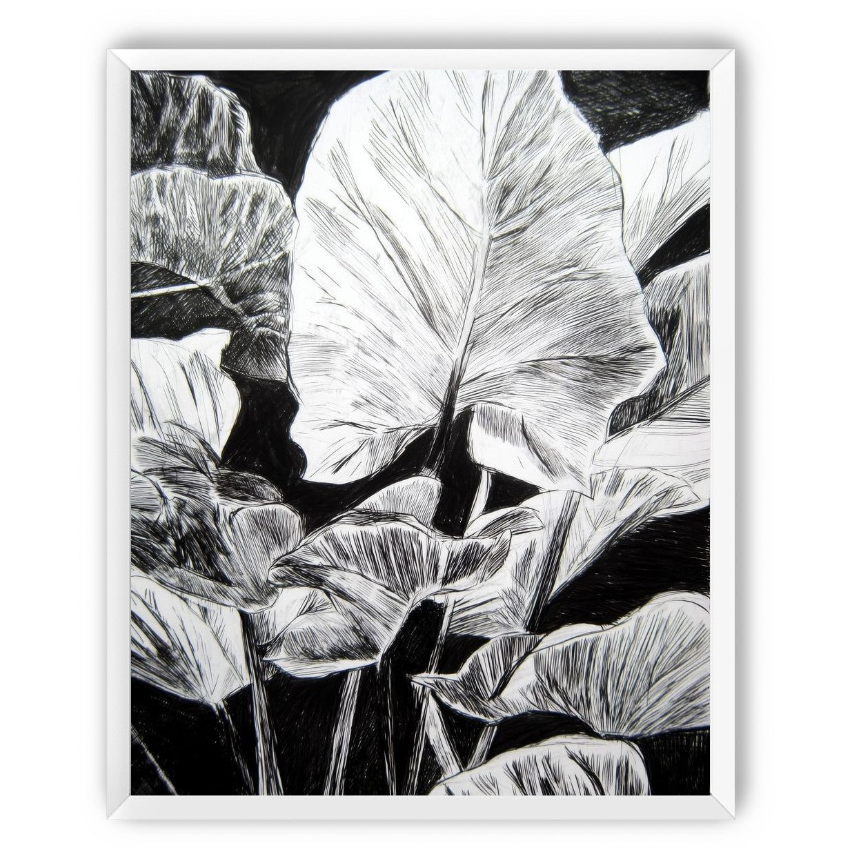 A Cluster of Leaves