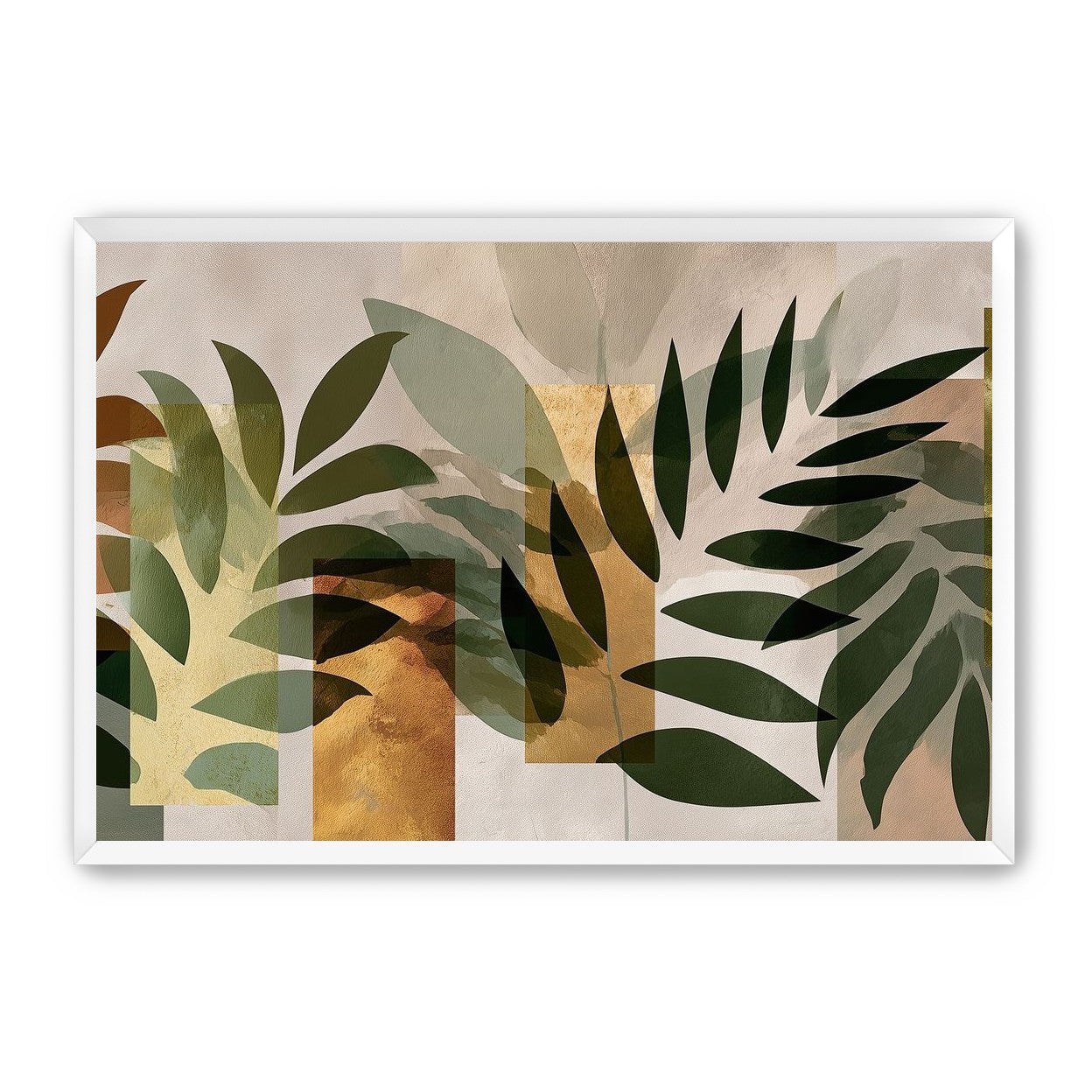 Row of Ferns