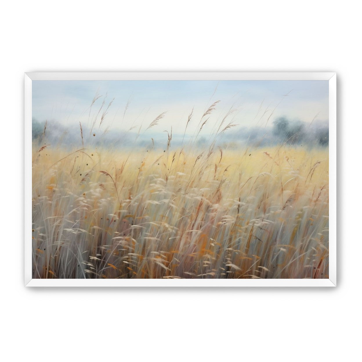 Wheat Fields