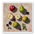 Apples, Pear, and Berries on Floral Fabric