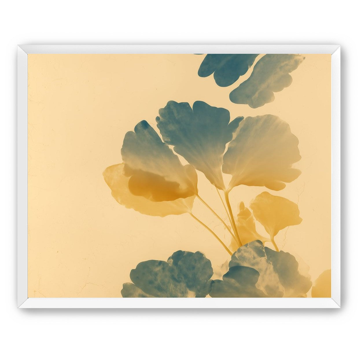 Pressed Matter