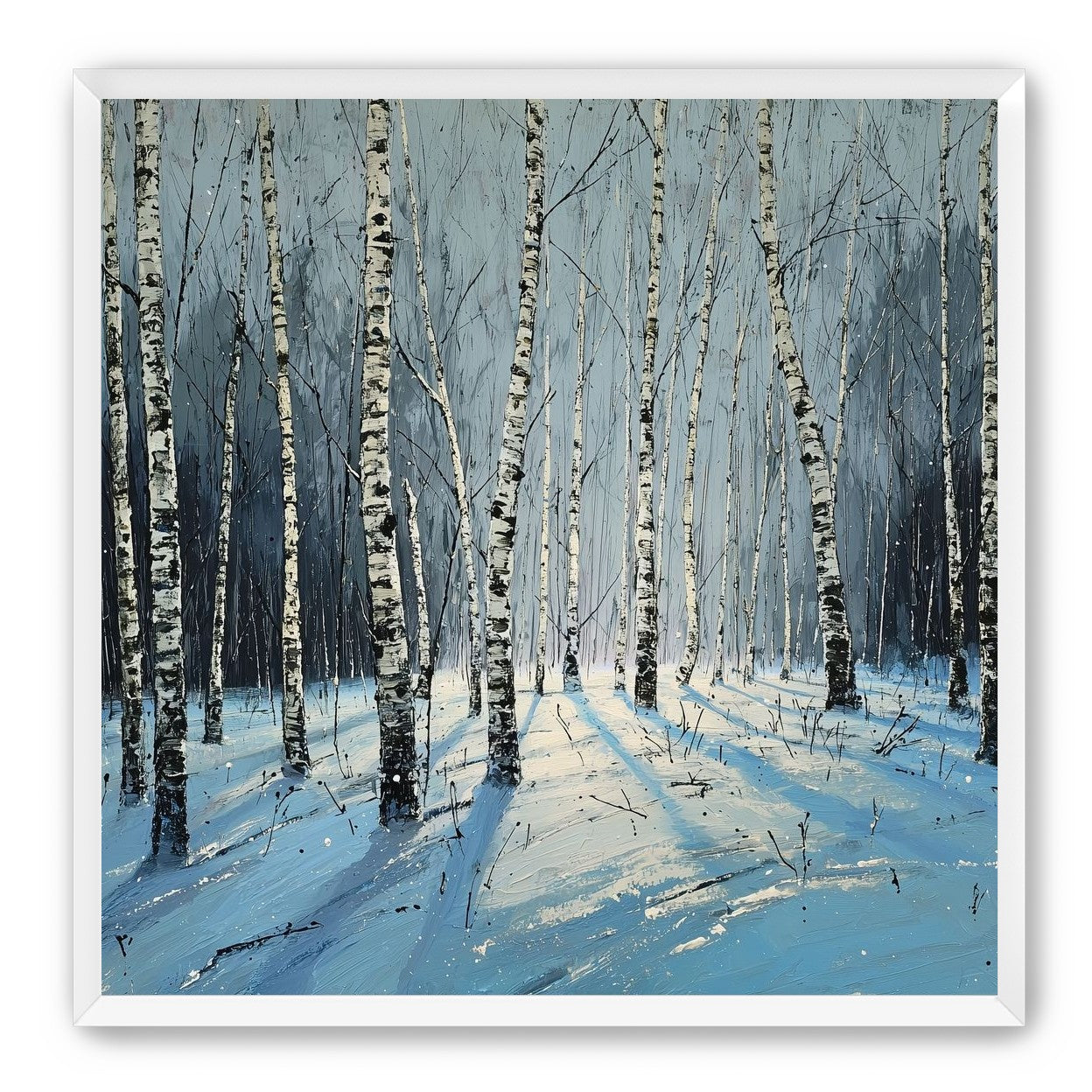 Birch Trees in Winter Light