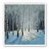Birch Trees in Winter Light