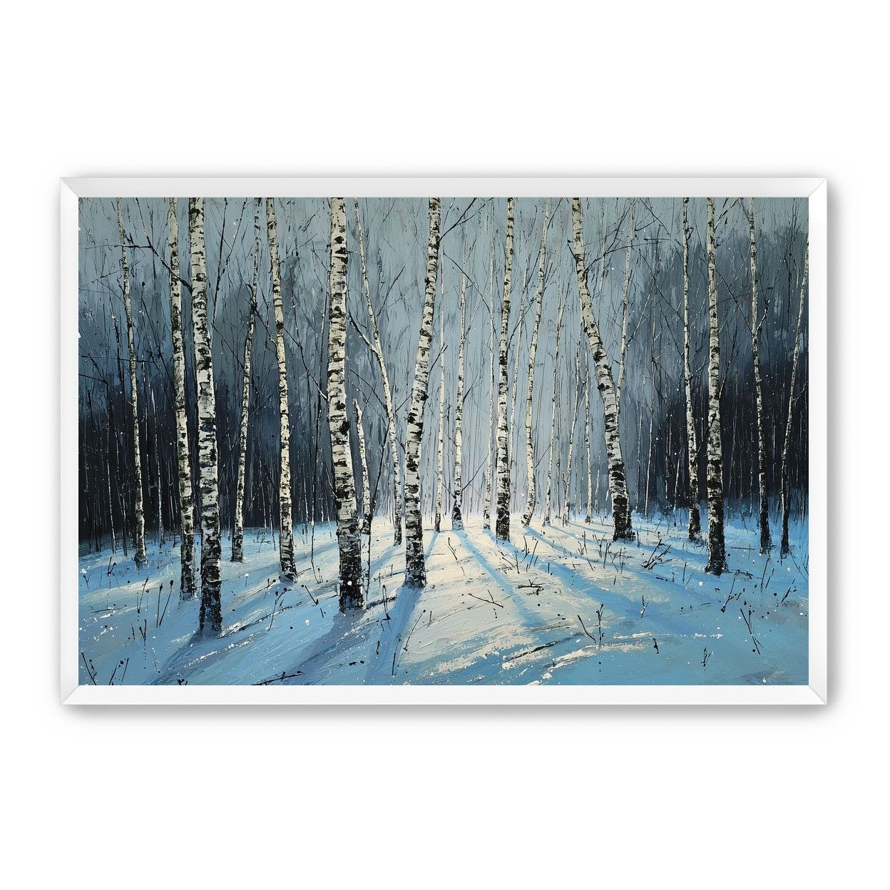 Birch Trees in Winter Light