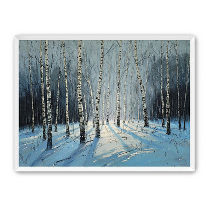 Birch Trees in Winter Light