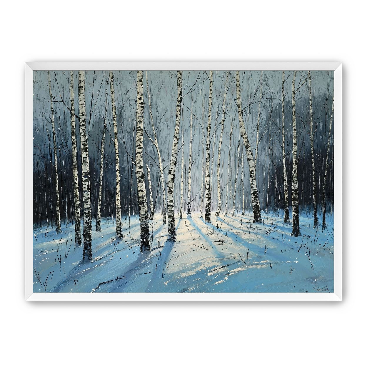 Birch Trees in Winter Light