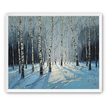 Birch Trees in Winter Light