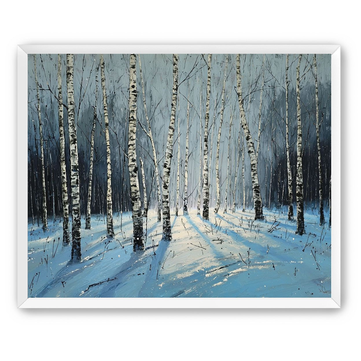 Birch Trees in Winter Light