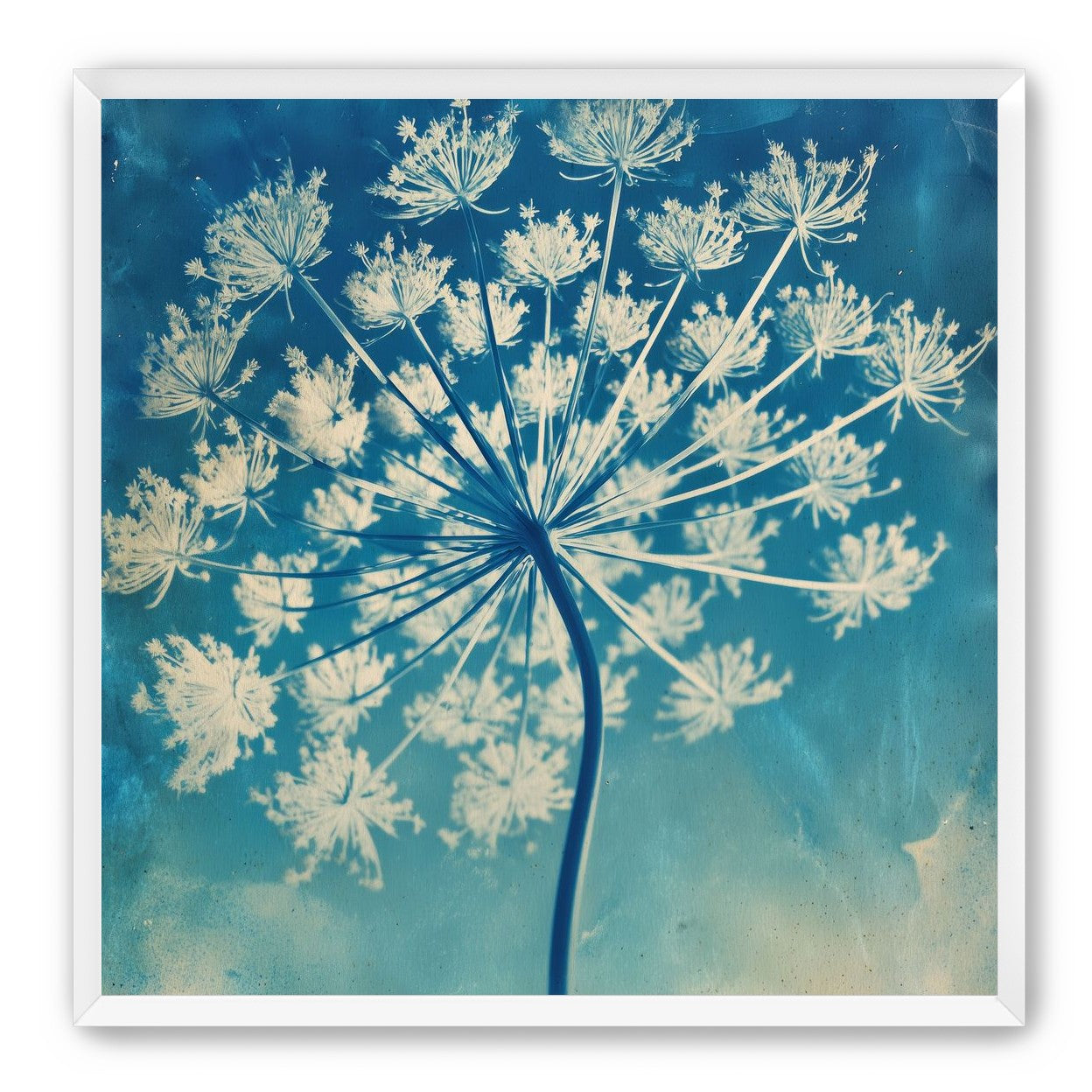 A Starburst Taught to Bloom