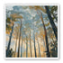 Awakening Woods