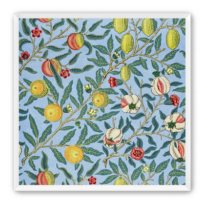 Fruits on the Vine