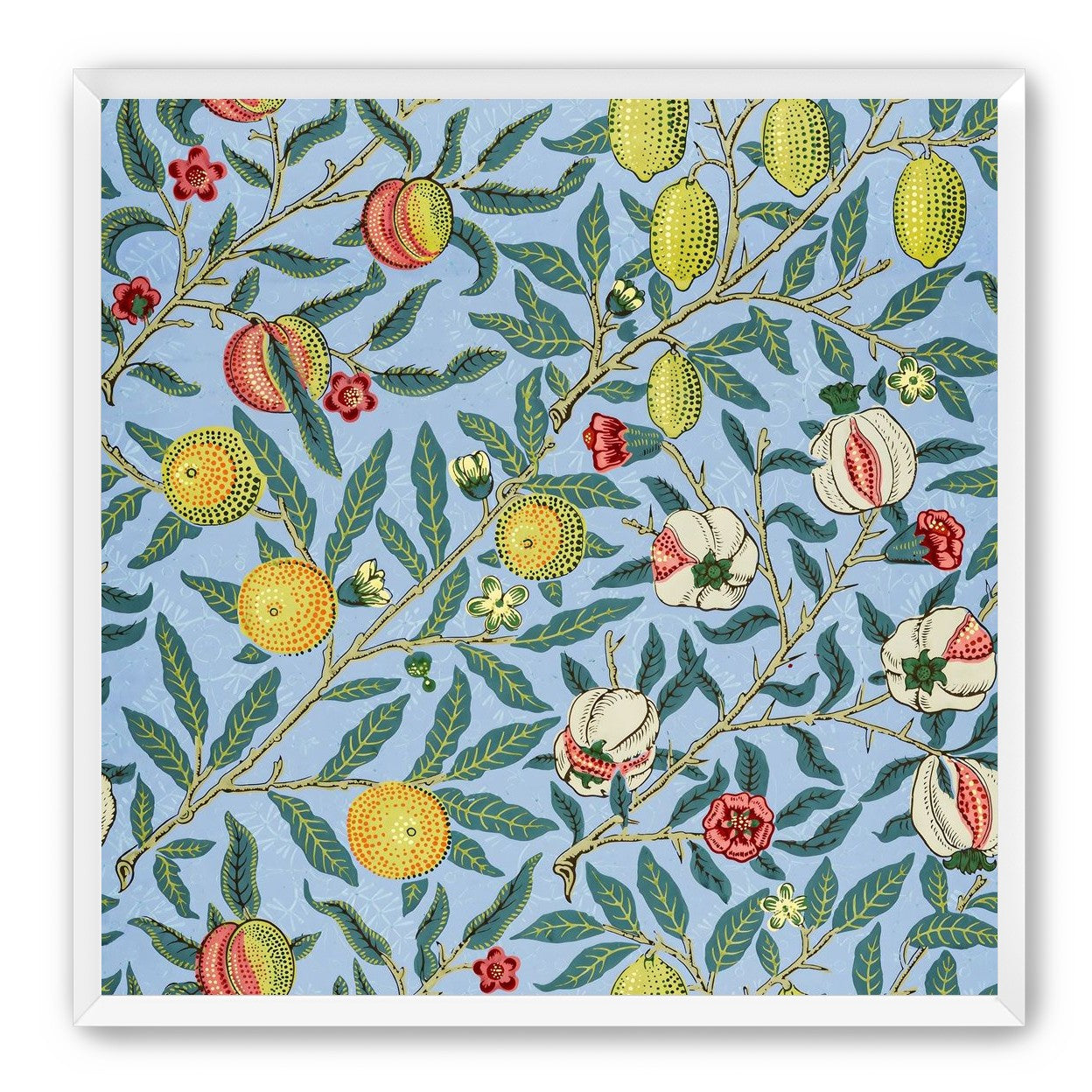 Fruits on the Vine