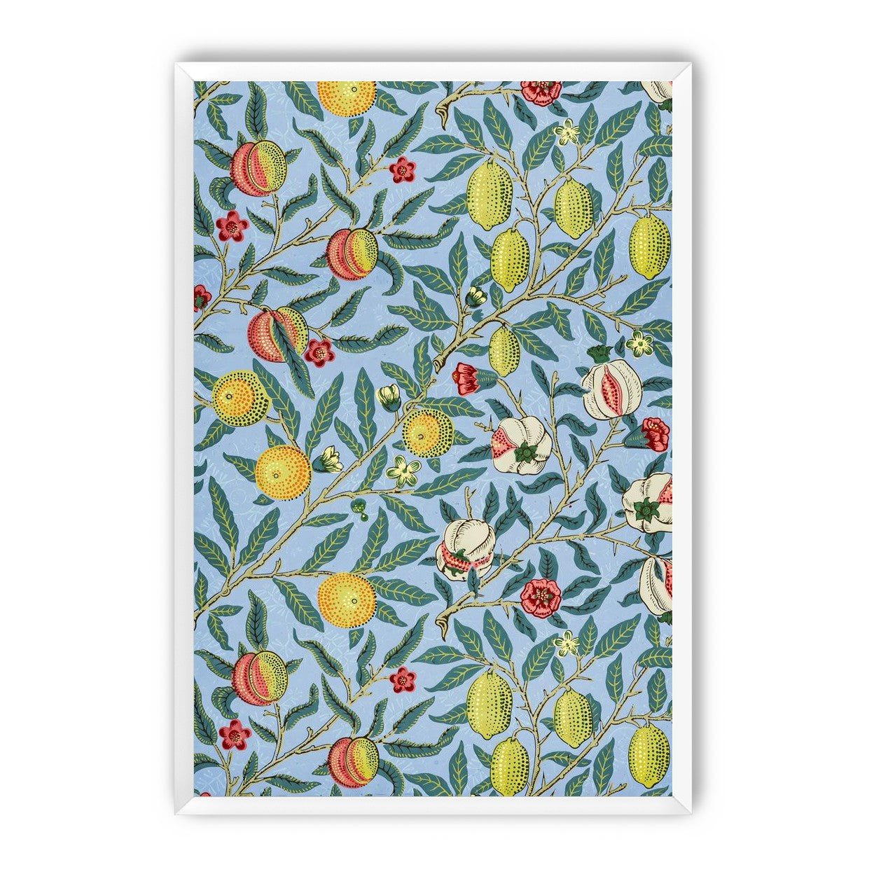 Fruits on the Vine