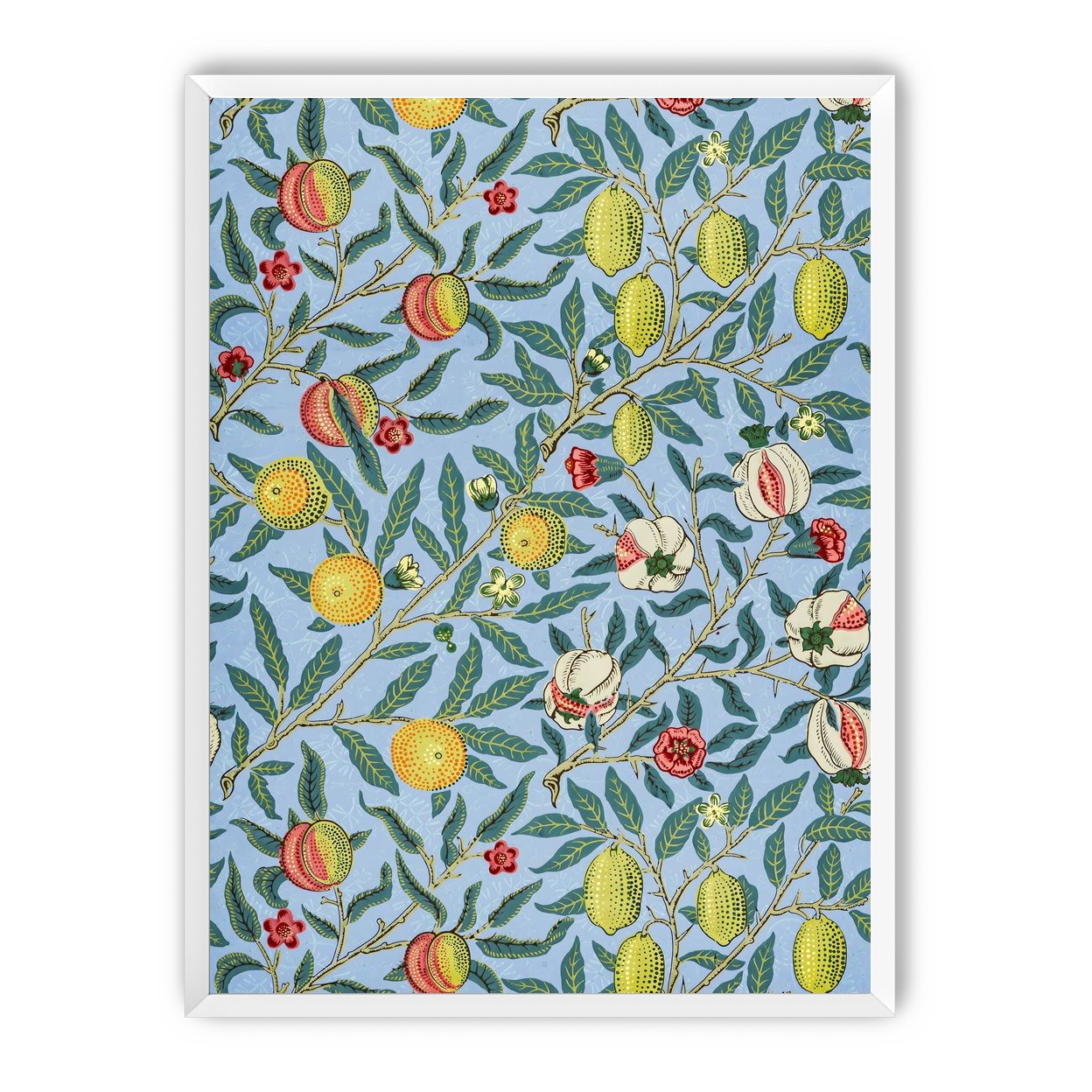 Fruits on the Vine