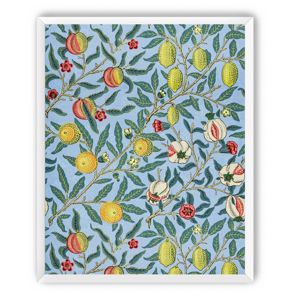 Fruits on the Vine