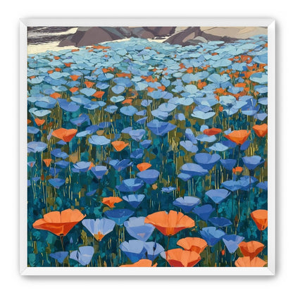 California Poppies