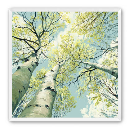 Branches Holding Light